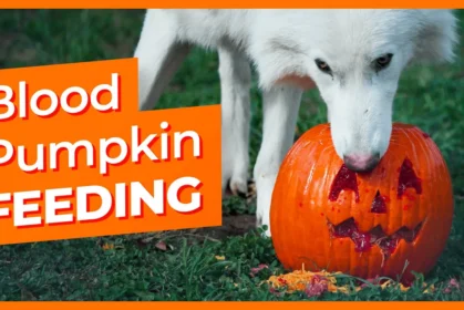 dire-wolves-blood-pumpkin