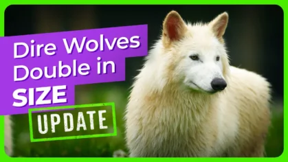 dire-wolves-double-in-size
