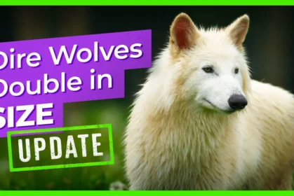 dire-wolves-double-in-size